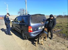 Jud. Hunedoara. Acțiuni ale poliției pentru siguranța transportului feroviar