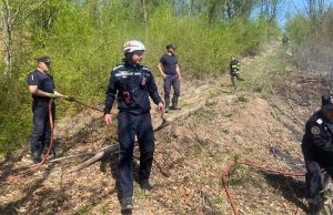 Pompierii și voluntarii intervin pentru stingerea unui incendiu de litieră de pădure în comuna Vața de Jos