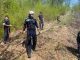 Pompierii și voluntarii intervin pentru stingerea unui incendiu de litieră de pădure în comuna Vața de Jos