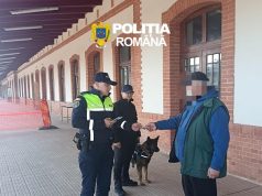Razie de amploare în stațiile CF și trenurile din Hunedoara. Zeci de sancțiuni și permise reținute